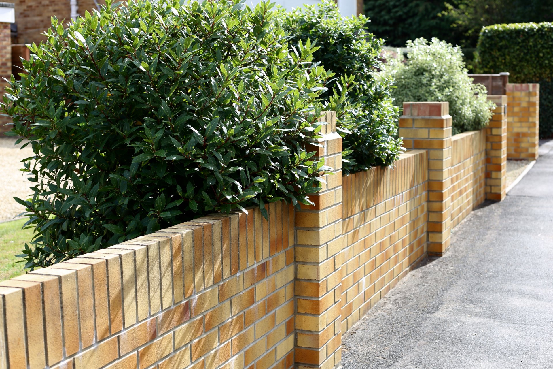 Brick Wall Builders Borehamwood